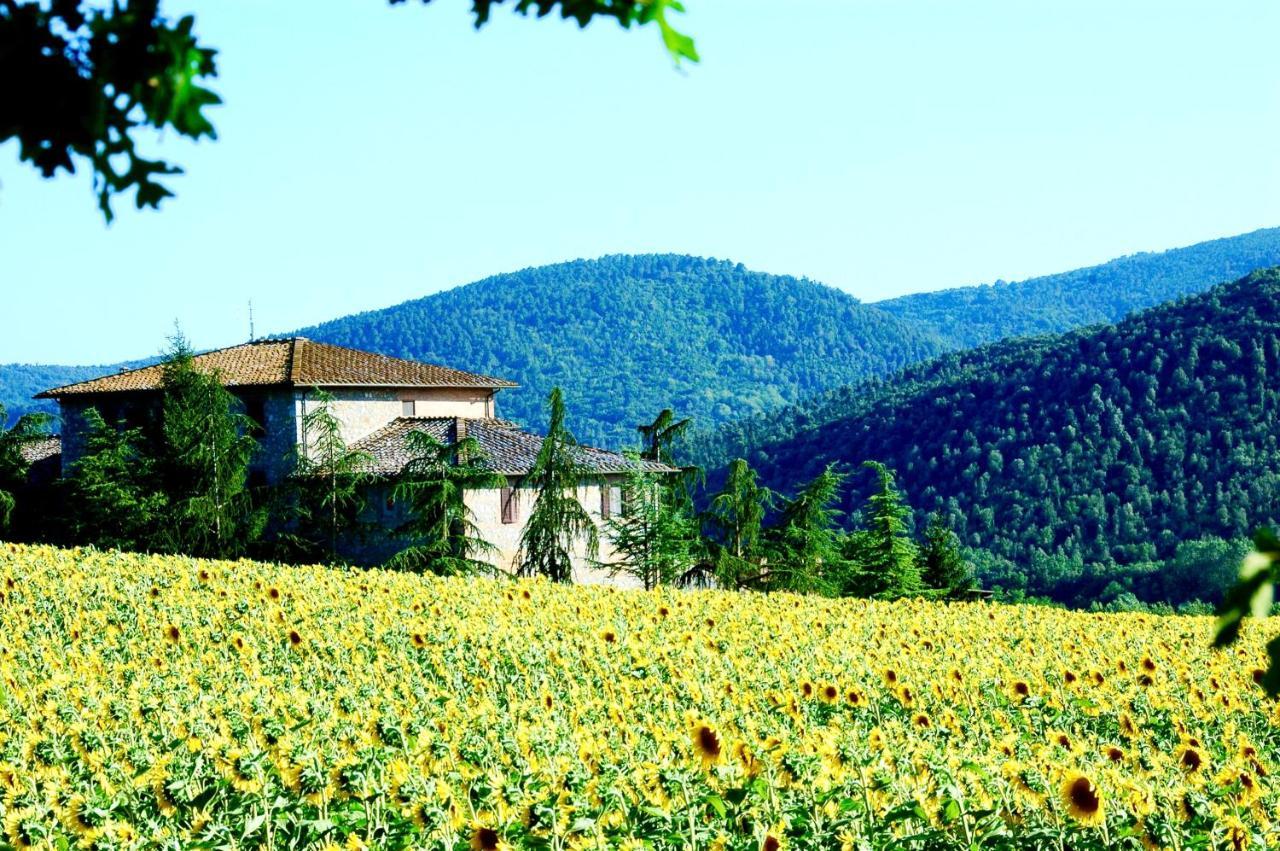 Agriturismo Montioni Sovicille Extérieur photo